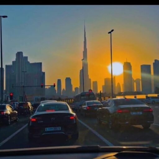 alphaprediction.online